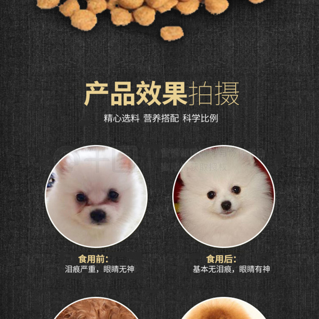 中大形寵物福音 營養(yǎng)滿分的大顆粒狗糧貓糧詳解