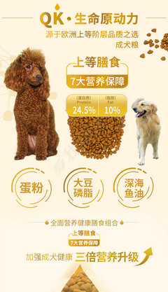 寵物食品選購指南 從看懂成分表到科學(xué)喂養(yǎng)